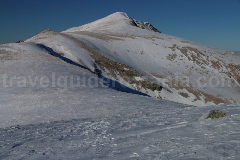 Highest peak in Godeanu Mountains - Gugu peak