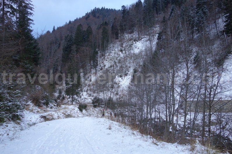 Parking place in your way to Gugu shelter - Godeanu mountains