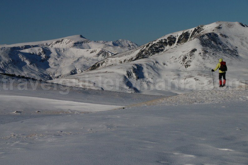 Tarcu Mountains seen from Godeanu Mountains - Romania