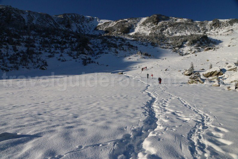 Winter guided trips in Romania - Godeanu mountains