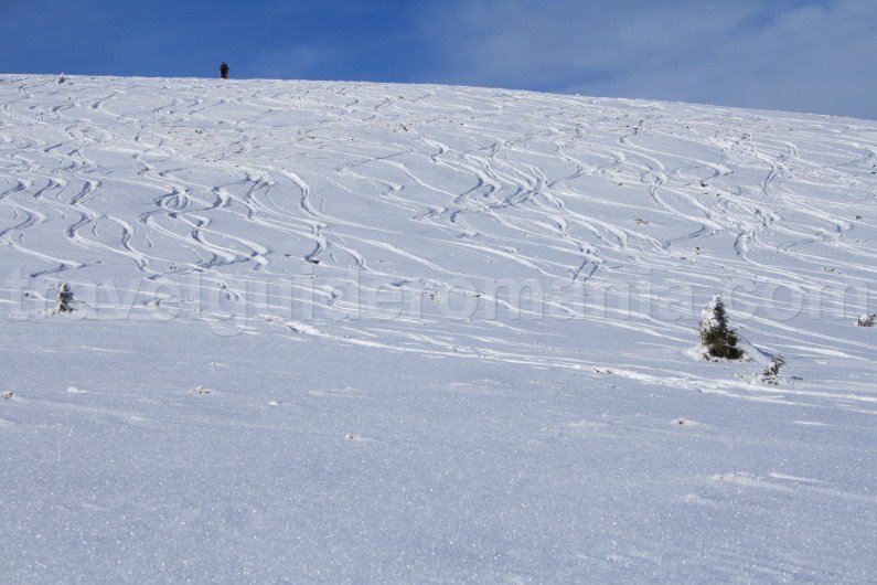 Best ski touring places in Apuseni mountains - Vladeasa area