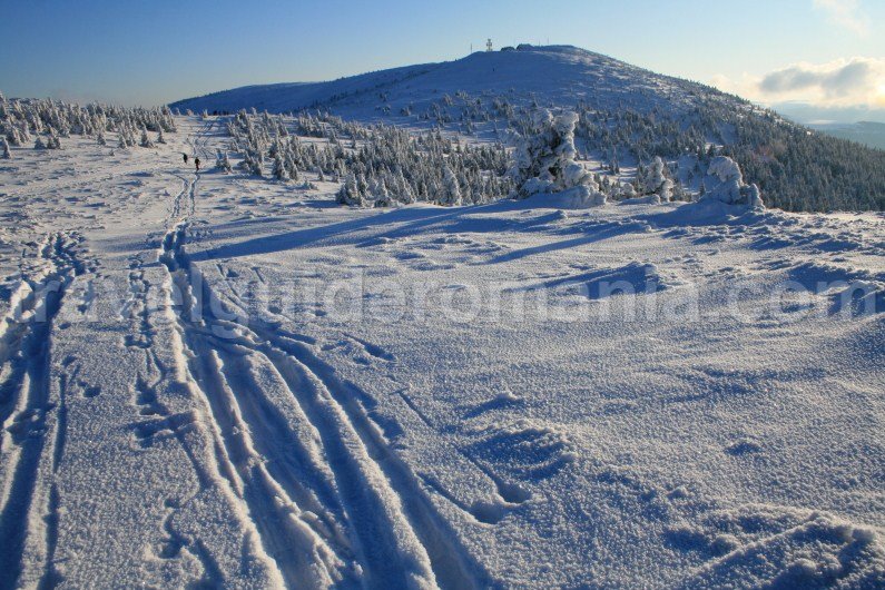 Carpathian mountains hiking in Romania - Vladeasa Mountains