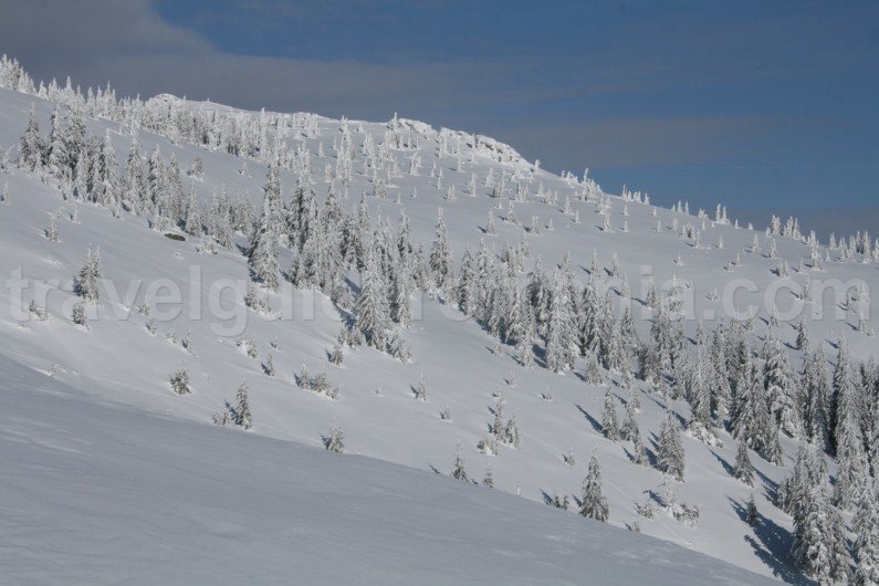 Guided winter trips in Apuseni mountains
