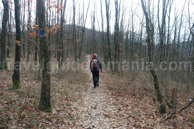 Hiking Vacations in Romania - Apuseni Mountains