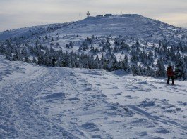 Vlădeasa Peak – ski touring in Apuseni Mountains Vladeasa peak - Apuseni mountains