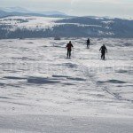 Ski touring in Apuseni Mountains