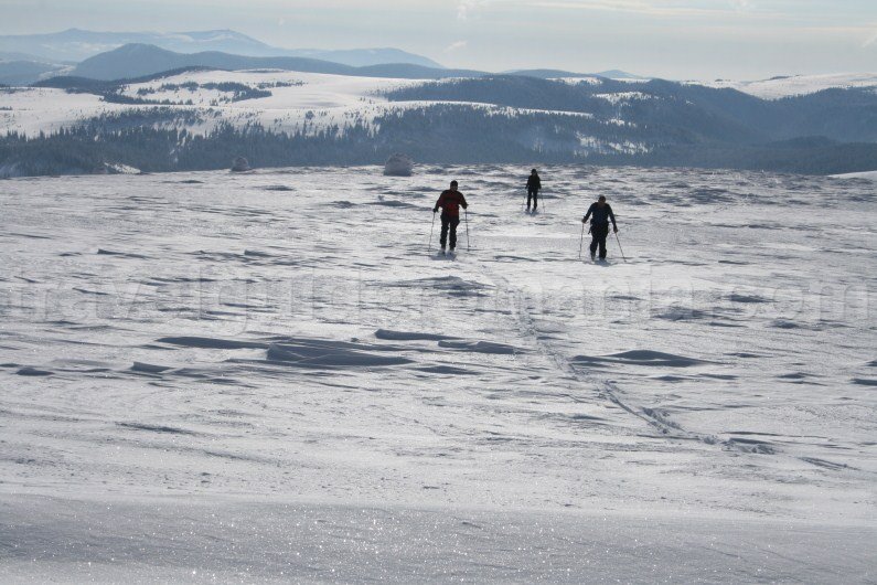Ski touring in Apuseni Mountains