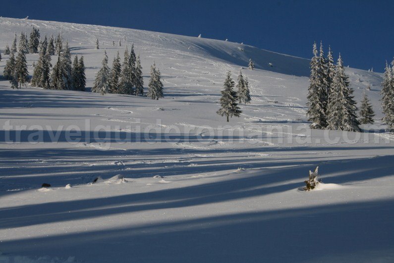 Ski touring in Romania - Vladeasa Mountains