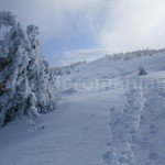 Towards Vladeasa peak – tourist trail