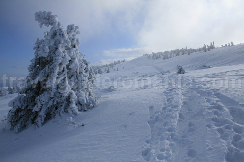 Towards Vladeasa peak - tourist trail