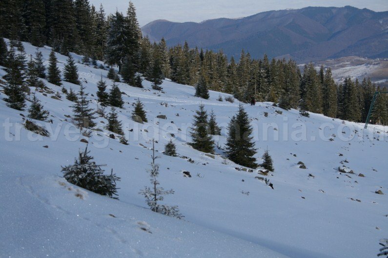 Trekking in Romania - Vladeasa Mountains