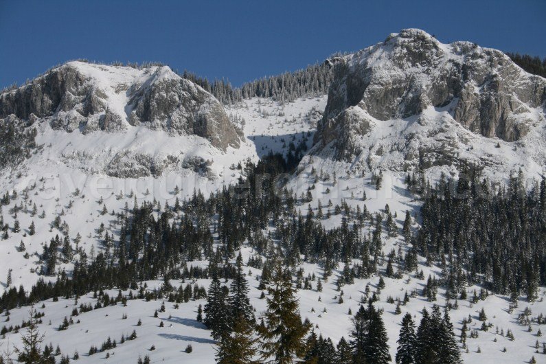 Vacation packages in Apuseni mountains - Travel Guide Romania