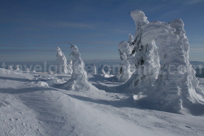 Visit Transilvania in wintertime - Vladeasa Mountains