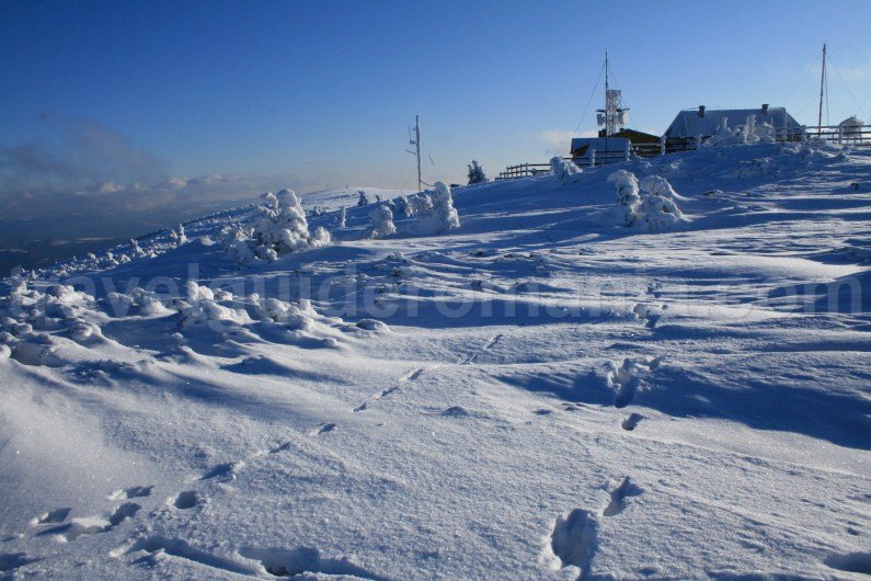Vladeasa Peak - hiking in Romania