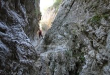 Oratii Canyon, at the foot of Piatra Craiului Mountains Canyoning in Transylvania