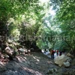 Mountain guide in Romania – Piatra Craiului mountains