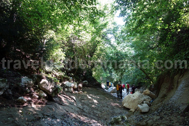Mountain guide in Romania - Piatra Craiului mountains