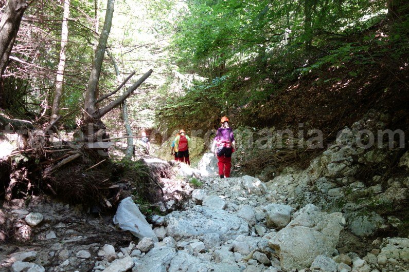 At the entrance of the canyon Romania activity holidays - canyoning at Oratii valley