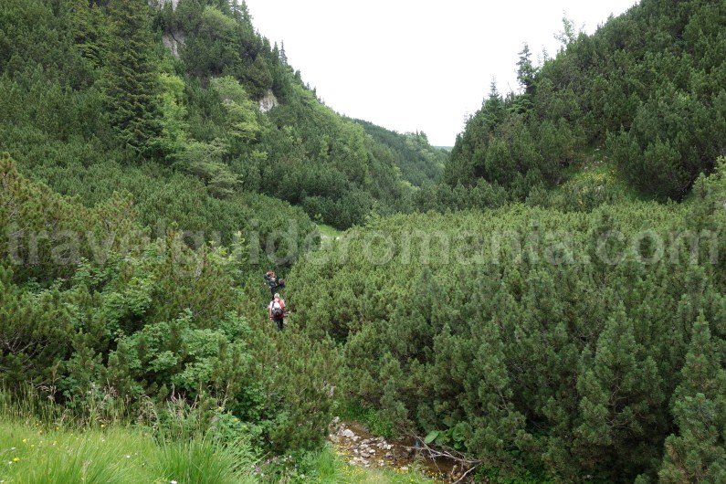 best-tourist-places-in-romania-bucegi-ntural-park