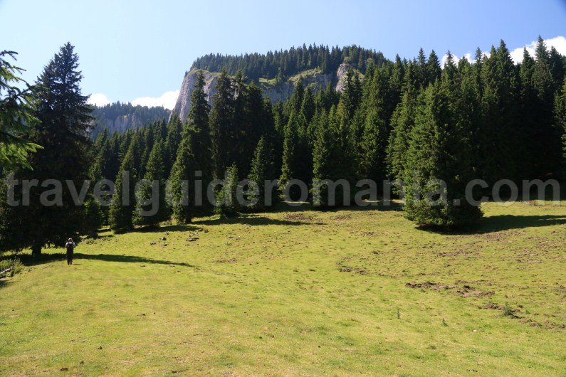 carpathian-mountains-national-parks-romania