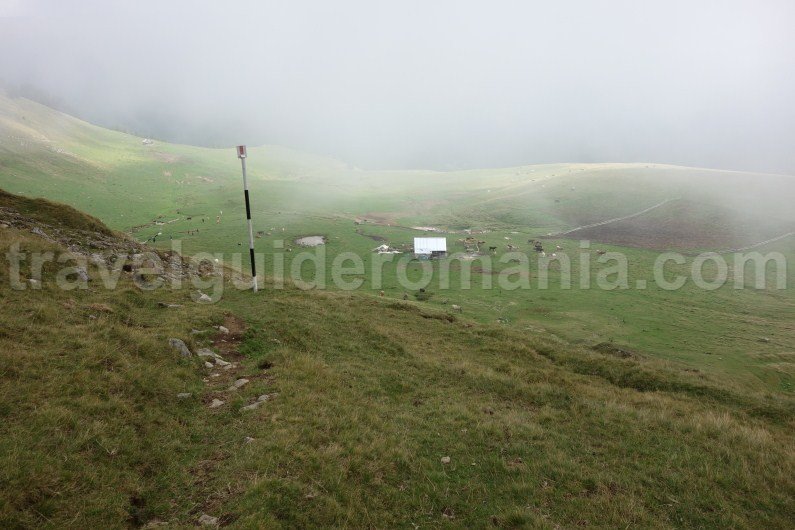carpathian-mountains-in-romania