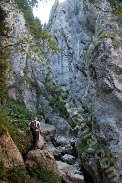 horoabelor-canyon-bucegi-mountains-romania