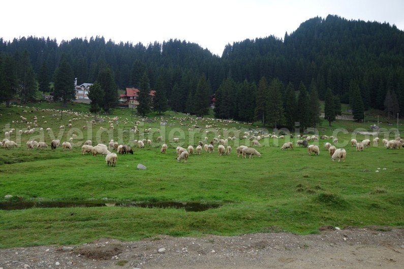 tourist-area-padina-in-romania