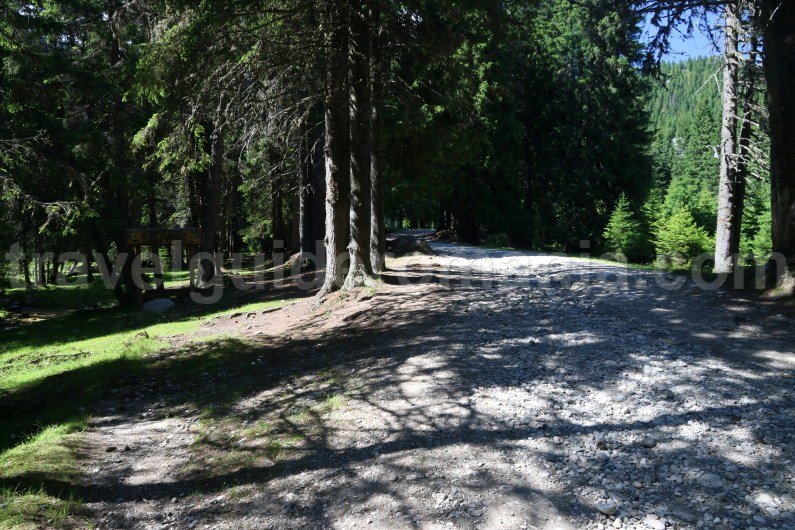 tourist-destinations-in-romania-bucegi-natural-park