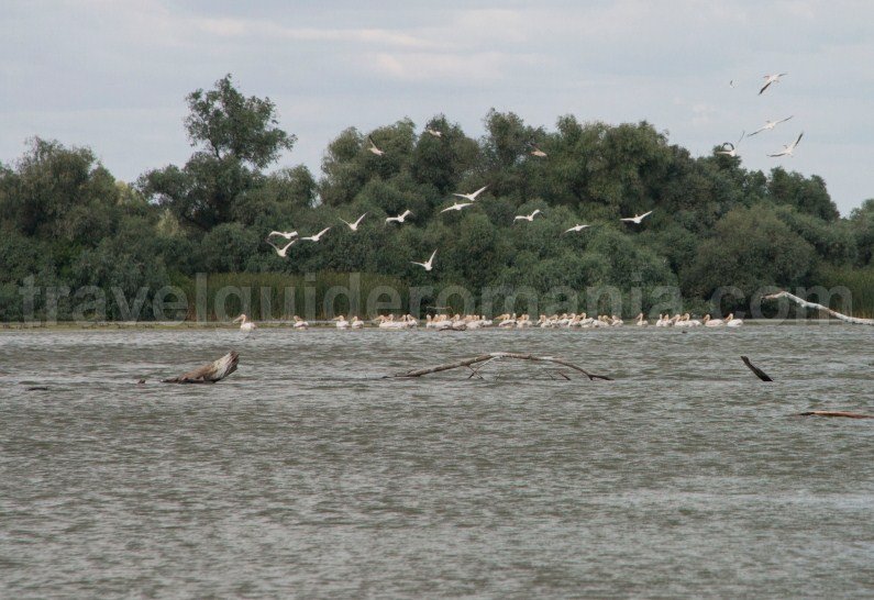 10 places to see in romania 10-places-to-see-in-romania-danube-delta-reservation