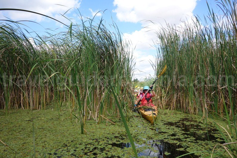 Danube Delta Romania Danube Delta Romania