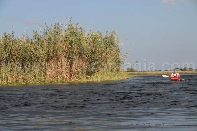 best time to visit danube delta travel to romania best-time-ti-visit-danube-delta-travel-to-romania