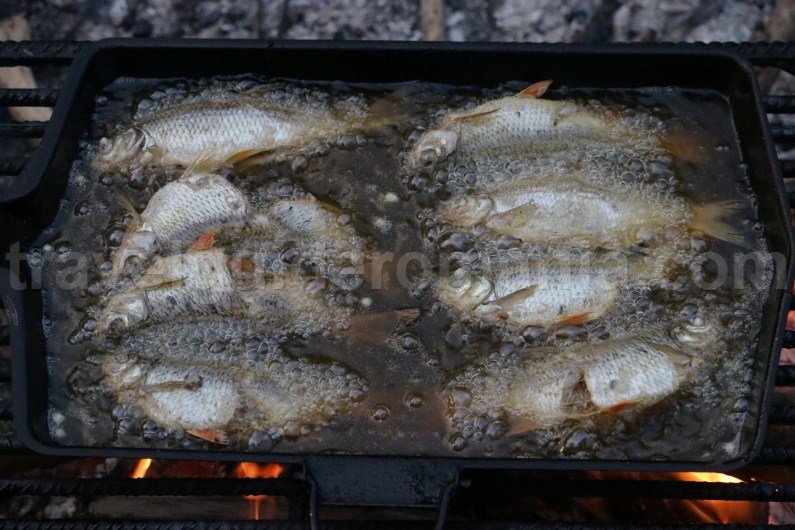 best tours of romania danube delta best-tours-of-romania-danube-delta