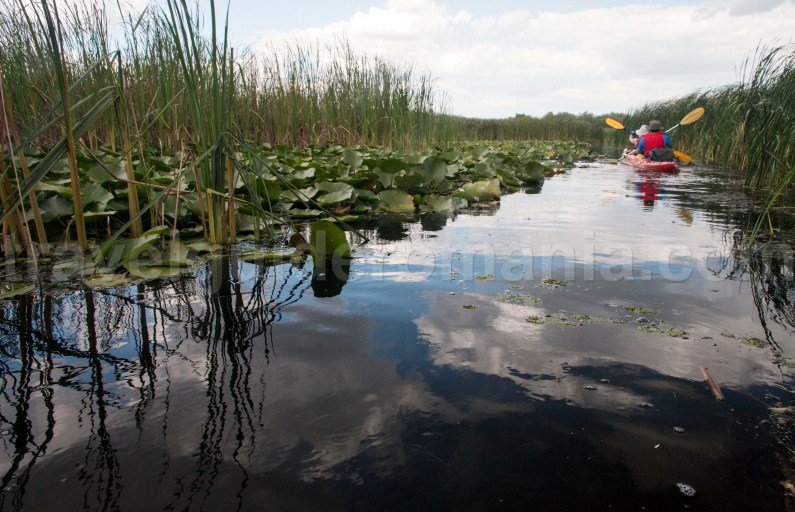 danube delta biosphere reservation danube-delta-biosphere-reservation-travel-guide-romania