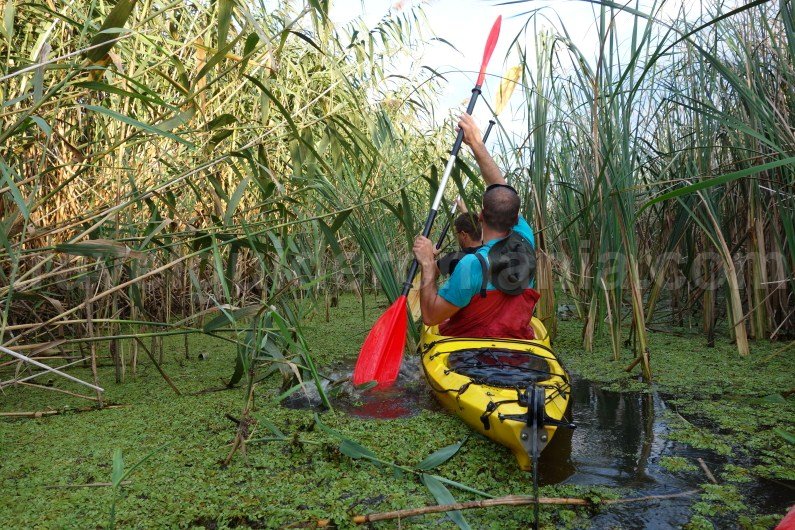 danube delta kayak tours romania danube-delta-kayak-tours-romania