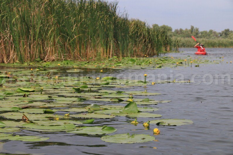 danube delta the second largest european delta danube-delta-the-second-largest-european-delta