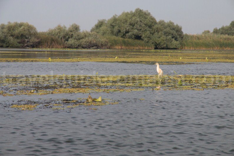 holidays in the danube delta travel guide romania holidays-in-the-danube-delta-travel-guide-romania