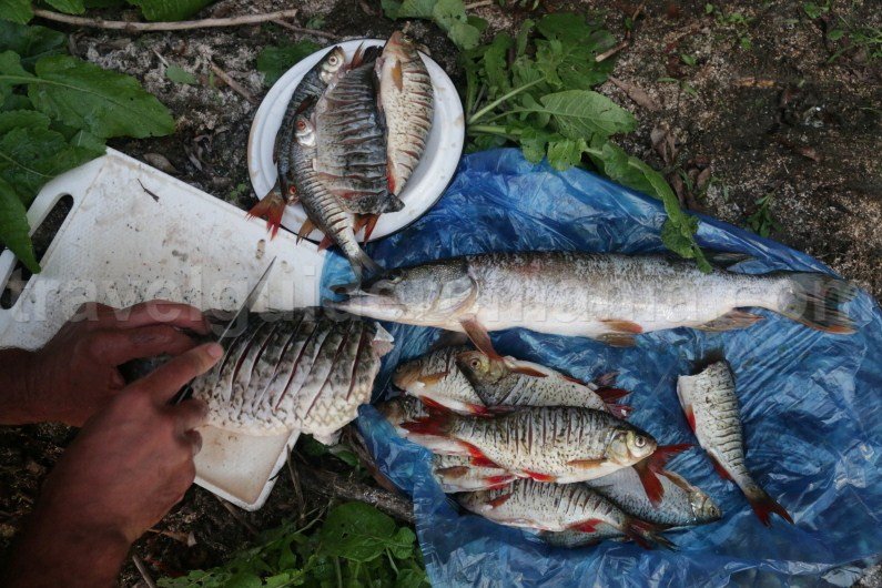 romanian kitchen from the danube delta dobrogea romanian-kitchen-from-the-danube-delta-dobrogea