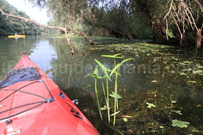 top 10 things to do in romania top-10-things-to-do-in-romania-kayak-trips-in-the-danube-delta