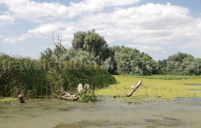 trips in the danube delta romania trips-in-the-danube-delta-romania