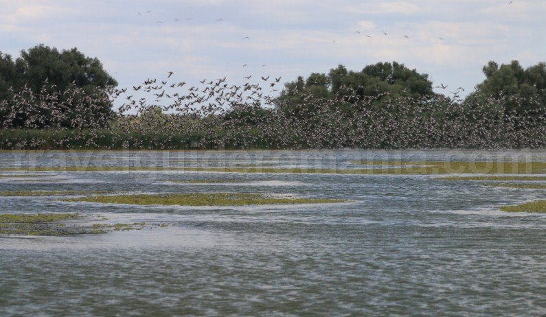what to see in romania danube delta what-to-see-in-romania-danube-delta-reservation
