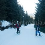 Things to do in Harghita county