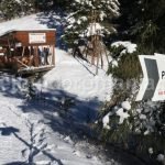 Nature trips in Romania – Sugau cave