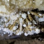 Travel Guide Romania – Sugau cave