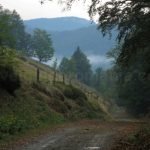apuseni-landscape