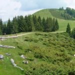 mountain-biking-romanian-mountain3