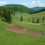 Padis Apuseni mountains balileasa