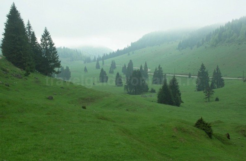 Padis Apuseni mountains romania