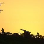 Padis Apuseni natural park romania sheepfold