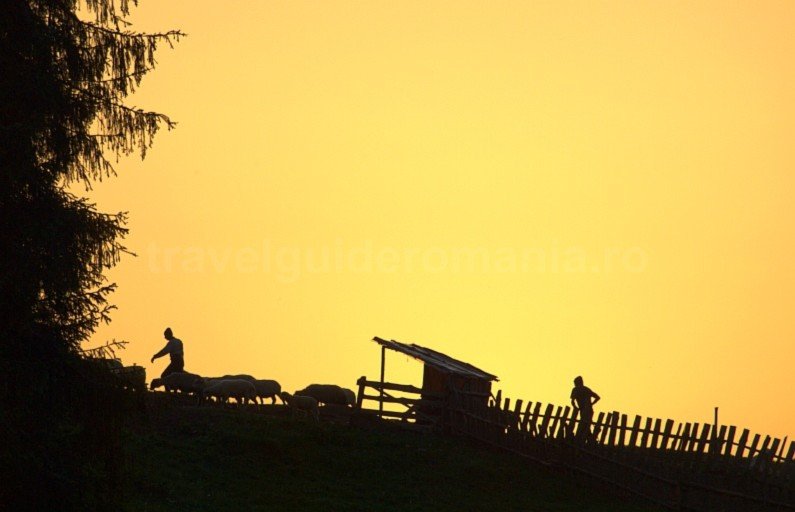 Padis Apuseni natural park romania sheepfold