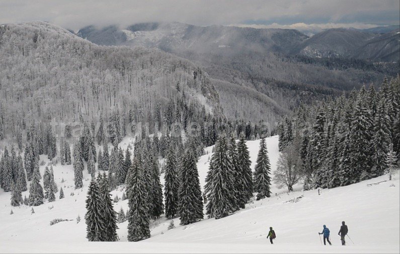 Padis Apuseni natural park